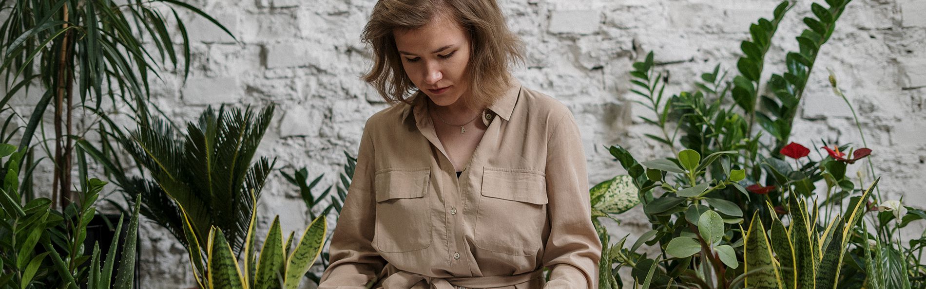 Groen in je interieur:Advies van A tot Z