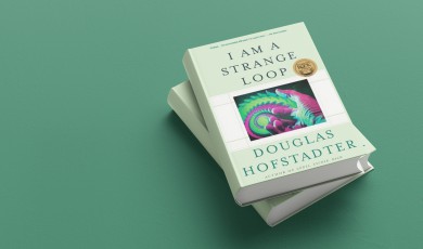 I am a strange loop (samenvatting)