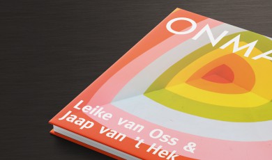 Onmacht: in werk, samenleving en organisatie